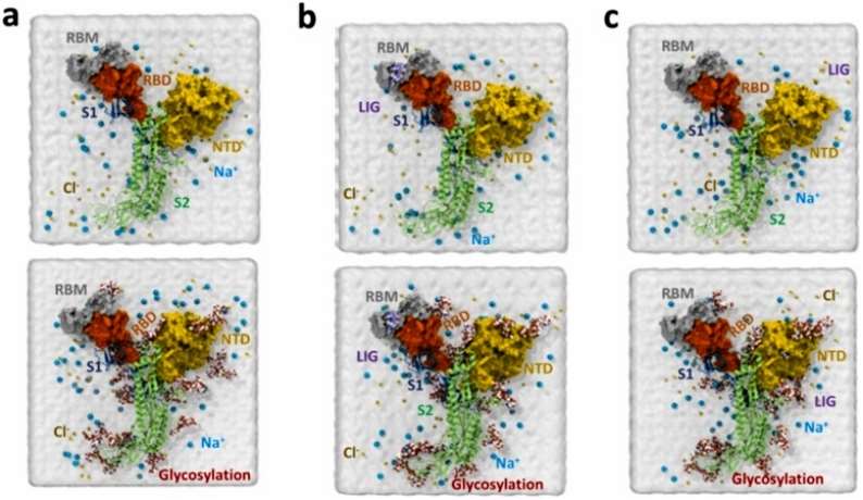 Advancements in Protein lipidation Research